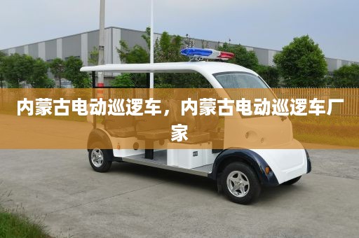 内蒙古电动巡逻车，内蒙古电动巡逻车厂家